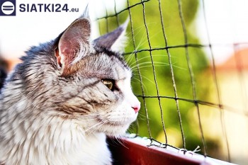 Siatki Olesno - Siatka na balkony dla kota i zabezpieczenie dzieci dla terenów Olesna